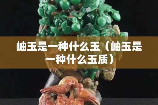 岫玉是一种什么玉（岫玉是一种什么玉质）