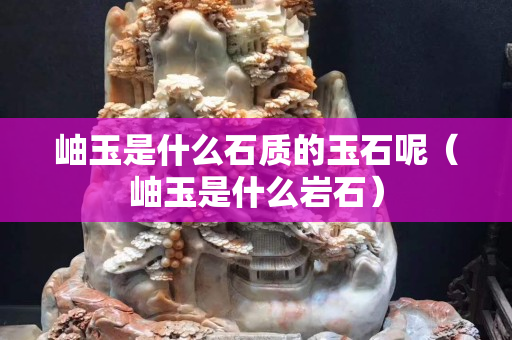 岫玉是什么石质的玉石呢（岫玉是什么岩石）