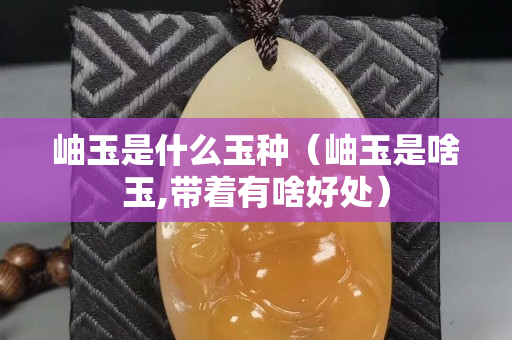 岫玉是什么玉种（岫玉是啥玉,带着有啥好处）