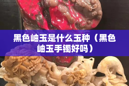 黑色岫玉是什么玉种（黑色岫玉手镯好吗）