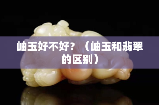岫玉好不好？（岫玉和翡翠的区别）