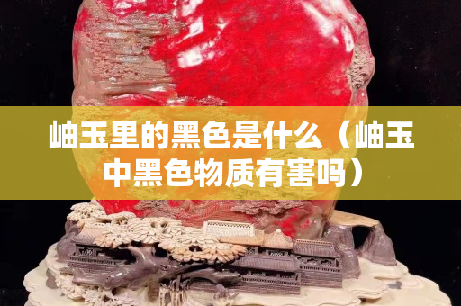 岫玉里的黑色是什么（岫玉中黑色物质有害吗）