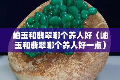 岫玉和翡翠哪个养人好（岫玉和翡翠哪个养人好一点）