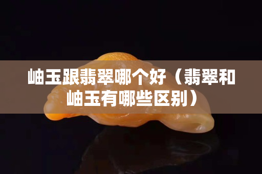 岫玉跟翡翠哪个好（翡翠和岫玉有哪些区别）
