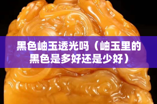 黑色岫玉透光吗（岫玉里的黑色是多好还是少好）