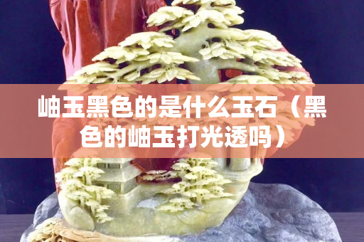 岫玉黑色的是什么玉石（黑色的岫玉打光透吗）