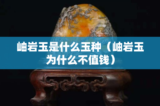岫岩玉是什么玉种（岫岩玉为什么不值钱）