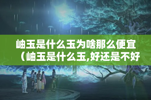 岫玉是什么玉为啥那么便宜（岫玉是什么玉,好还是不好）