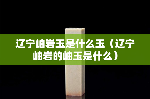 辽宁岫岩玉是什么玉（辽宁岫岩的岫玉是什么）