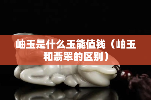 岫玉是什么玉能值钱（岫玉和翡翠的区别）