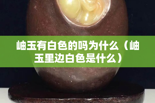 岫玉有白色的吗为什么（岫玉里边白色是什么）