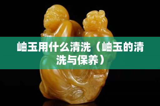 岫玉用什么清洗（岫玉的清洗与保养）