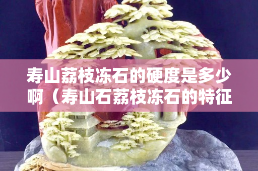 寿山荔枝冻石的硬度是多少啊（寿山石荔枝冻石的特征）