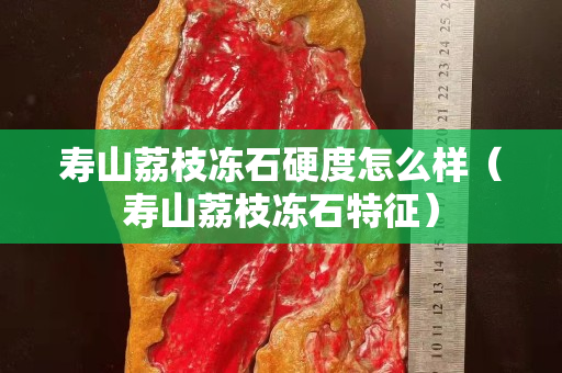 寿山荔枝冻石硬度怎么样（寿山荔枝冻石特征）