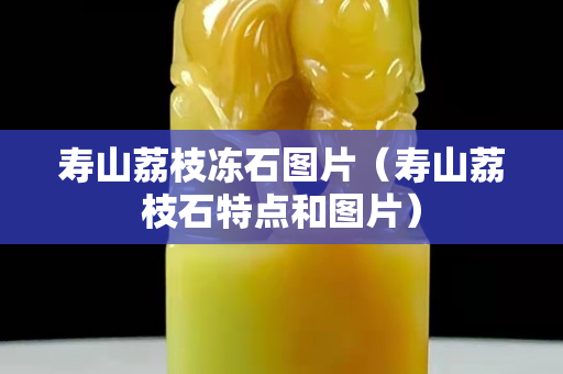 寿山荔枝冻石图片（寿山荔枝石特点和图片）