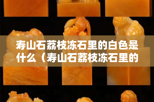 寿山石荔枝冻石里的白色是什么（寿山石荔枝冻石里的白色是什么东西）