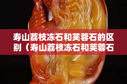 寿山荔枝冻石和芙蓉石的区别（寿山荔枝冻石和芙蓉石的区别图片）