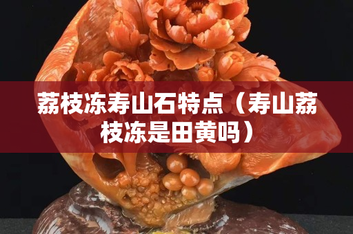 荔枝冻寿山石特点（寿山荔枝冻是田黄吗）
