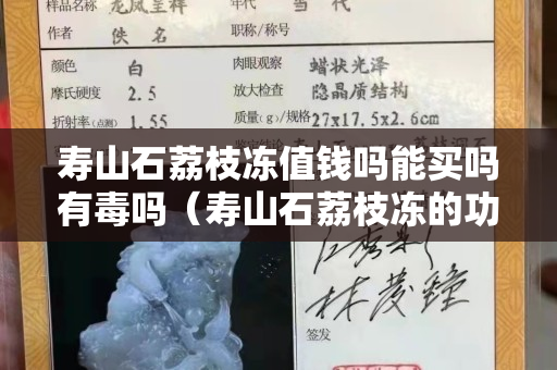 寿山石荔枝冻值钱吗能买吗有毒吗（寿山石荔枝冻的功效与作用）