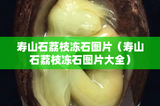 寿山石荔枝冻石图片（寿山石荔枝冻石图片大全）