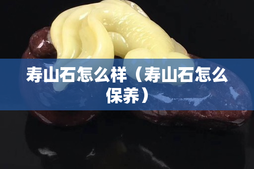 寿山石怎么样（寿山石怎么保养）