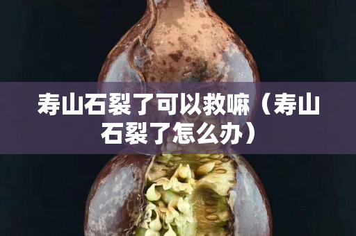 寿山石裂了可以救嘛（寿山石裂了怎么办）