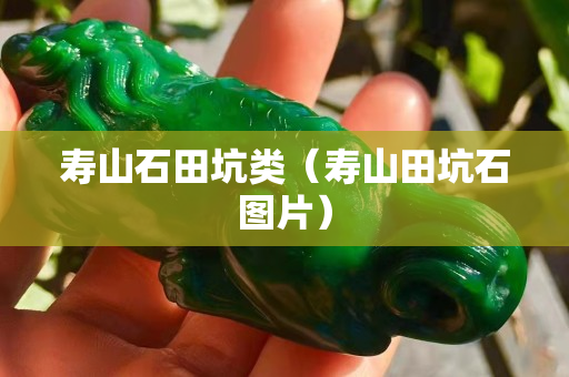 寿山石田坑类（寿山田坑石图片）