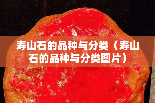 寿山石的品种与分类（寿山石的品种与分类图片）