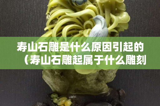寿山石雕是什么原因引起的（寿山石雕起属于什么雕刻）