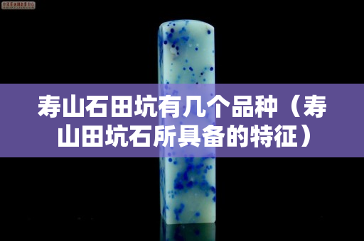 寿山石田坑有几个品种（寿山田坑石所具备的特征）