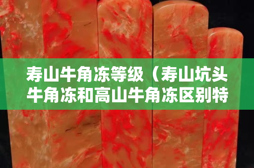寿山牛角冻等级（寿山坑头牛角冻和高山牛角冻区别特征）
