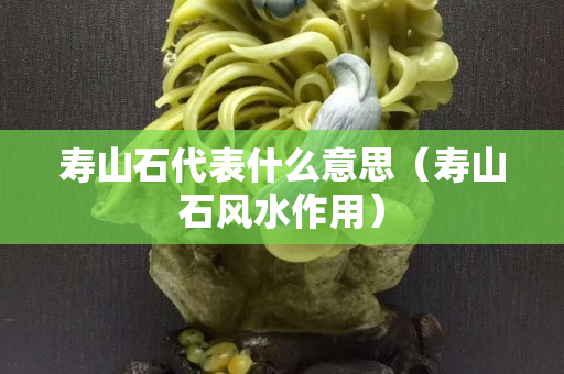 寿山石代表什么意思（寿山石风水作用）