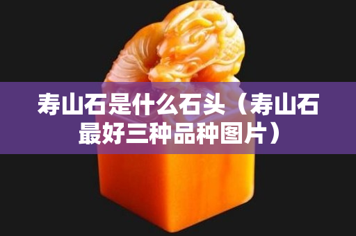 寿山石是什么石头（寿山石最好三种品种图片）