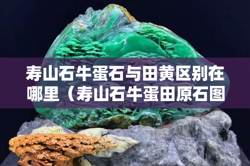 寿山石牛蛋石与田黄区别在哪里（寿山石牛蛋田原石图片）