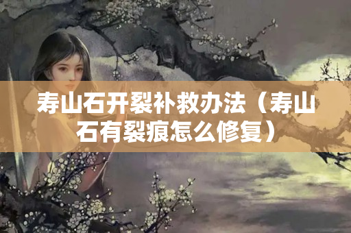 寿山石开裂补救办法（寿山石有裂痕怎么修复）