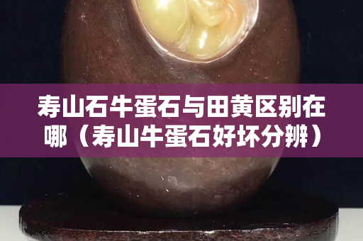 寿山石牛蛋石与田黄区别在哪（寿山牛蛋石好坏分辨）