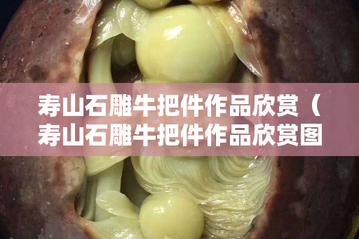 寿山石雕牛把件作品欣赏（寿山石雕牛把件作品欣赏图片）