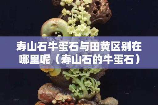 寿山石牛蛋石与田黄区别在哪里呢（寿山石的牛蛋石）