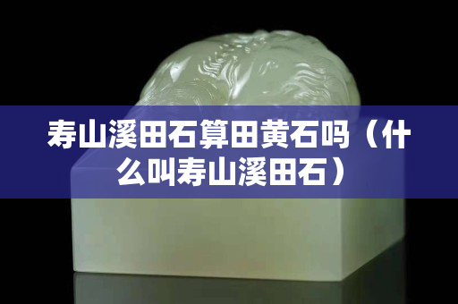 寿山溪田石算田黄石吗（什么叫寿山溪田石）
