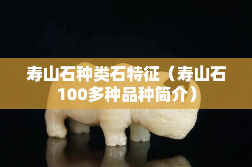 寿山石种类石特征（寿山石100多种品种简介）