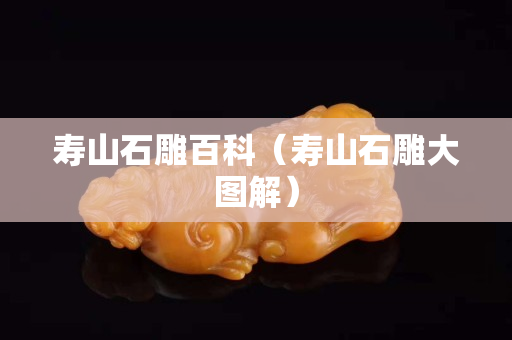 寿山石雕百科（寿山石雕大图解）