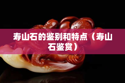 寿山石的鉴别和特点（寿山石鉴赏）