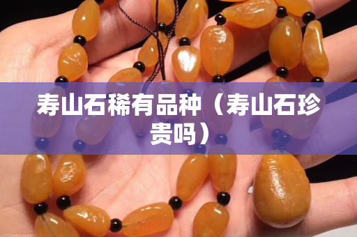 寿山石稀有品种（寿山石珍贵吗）