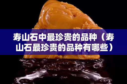 寿山石中最珍贵的品种（寿山石最珍贵的品种有哪些）