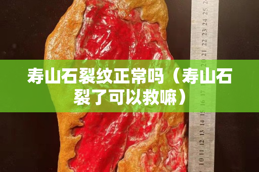 寿山石裂纹正常吗（寿山石裂了可以救嘛）