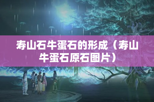 寿山石牛蛋石的形成（寿山牛蛋石原石图片）