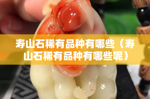 寿山石稀有品种有哪些（寿山石稀有品种有哪些呢）
