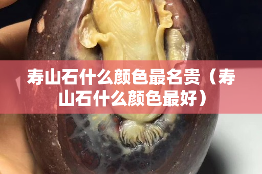 寿山石什么颜色最名贵（寿山石什么颜色最好）