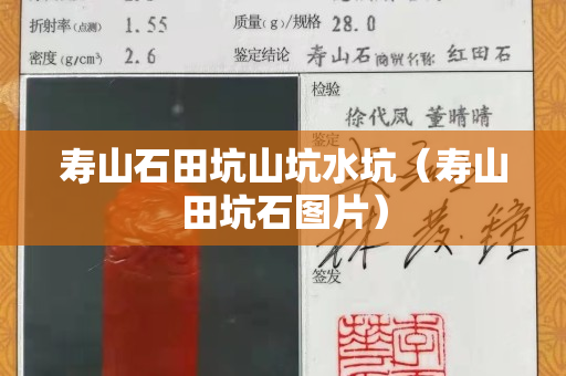 寿山石田坑山坑水坑（寿山田坑石图片）