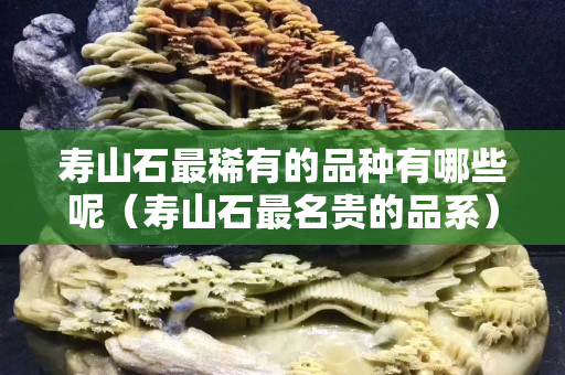 寿山石最稀有的品种有哪些呢（寿山石最名贵的品系）